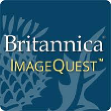 Britannia Image Quest 